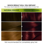 Garnier Nutrisse Ultra Color 2.6 Dark Cherry Red Permanent Hair Dye