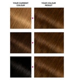 Garnier Olia 5.3 Golden Brown No Ammonia Permanent Hair Dye