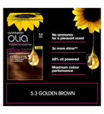 Garnier Olia 5.3 Golden Brown No Ammonia Permanent Hair Dye