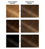 Garnier Olia 6.0 Light Brown No Ammonia Permanent Hair Dye