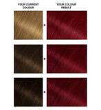 Garnier Olia Bold 6.60 Intense Red No Ammonia Permanent Hair Dye