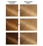 Garnier Olia 8.0 Blonde No Ammonia Permanent Hair Dye