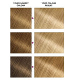 Garnier Olia 9.0 Light Blonde No Ammonia Permanent Hair Dye