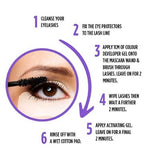 Colorsport 30 Day Mascara Black Eyelash Dye Kit