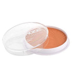Collection Bronze Glow Matt Powder Terracotta