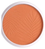 Collection Bronze Glow Matt Powder Terracotta