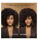 L’Oréal Paris Preference Permanent Hair Dye, Luminous Colour, Dark Brown 3.0