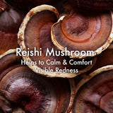 Origins Dr. Weil Mega-Mushroom Skin Relief Micellar Face Cleanser 200ml