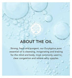 Tisserand Aromatherapy Organic Eucalyptus Essential Oil