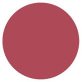 Burt's Bees® Tinted Lip Balm