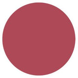 Burt's Bees® Tinted Lip Balm