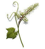 Clarins Pore Control Serum 30ml