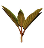 Clarins Super Restorative Remodelling Serum 50ml