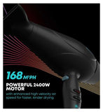Revamp Progloss 5000 Ionic Hair Dryer
