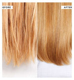 Philip Kingsley Bond Builder Split End Remedy 50ml