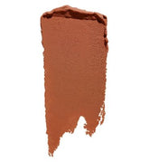 Shiseido Synchro Skin Correcting Gel Stick Concealer