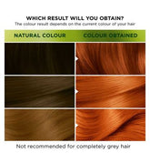 GARNIER NUTRISSE Ultra Color GB 7.40 Copper Passion Permanent Hair Dye