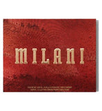 Milani All-Inclusive Eye, Cheek & Face Palette 120 Medium to Deep