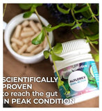 Alflorex® Dual Action by PrecisionBiotics® - Daily Gut & Mental Wellness Supplement - 30 Capsules
