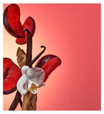 Sol de Janeiro Bom Dia Bright™ Body Cream 150ml