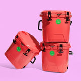 Drunk Elephant trunk 6.0