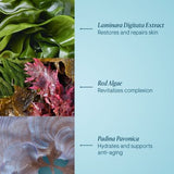 ELEMIS Pro-Collagen Night Cream 50ml