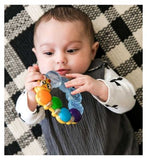 Baby Einstein Teether-pillar Rattle Toy