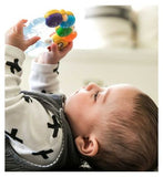 Baby Einstein Teether-pillar Rattle Toy
