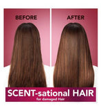 Herbal Essences Love Me Longer Shampoo 400ml