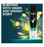 Sure Men Antiperspirant Aerosol Quantum Dry 200 ml