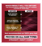 Garnier Nutrisse Ultra Colour 3.62 Burgundy Garnet Permanent Hair Dye