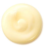 Shiseido Benefiance Wrinkle Smoothing Cream 30ml