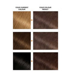 Garnier Belle Color 5 Natural Brown Permanent Hair Dye