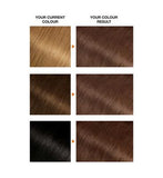 Garnier Belle Color 6 Natural Light Brown Permanent Hair Dye