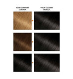 Garnier Belle Color 1 Black Permanent Hair Dye