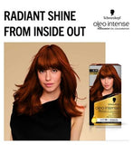 Schwarzkopf Oleo Intense Permanent Oil Colour 5-77 Light Copper Brown Hair Dye
