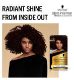 Schwarzkopf Oleo Intense Permanent Oil Colour 3-22 Deep Bordeaux Hair Dye