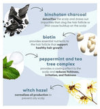 Briogeo Scalp Revival™ Charcoal + Tea Tree Scalp Treatment 30ml