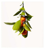 Origins Crisp Citrus Moisturising Hand Cream 75ml