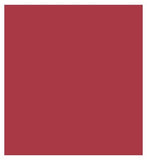 Max Factor 2000 Calorie Lip Glaze Full Shine Lip Gloss