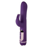 Ann Summers Swiveling Rabbit Set Purple