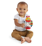 Baby Einstein Cal’s Sensory Shake-up Activity Rattle