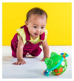 Bright Starts Oball Jingle & Shake Pal Frog Rattle