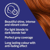 Schwarzkopf LIVE 077 Caramel Copper Permanent Copper Hair Dye