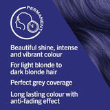 Schwarzkopf LIVE 059 Blue Berry Permanent Blue Hair Dye