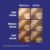 Schwarzkopf LIVE B16 Honey Blonde Permanent Dark Blonde Hair Dye