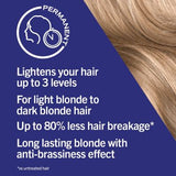 Schwarzkopf LIVE B16 Honey Blonde Permanent Dark Blonde Hair Dye
