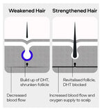 Sons Strengthening Shampoo 200ml