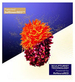 Shiseido Vital Perfection Concentrated Supreme Cream 30ml