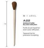 Morphe X Ariel A22 Blush Brush